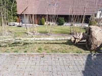 20200317_115320